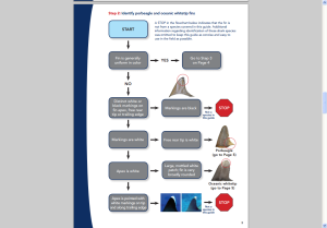 Page of PEW environmental guide to identification of shark fins